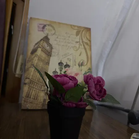 Gallery סקופיה
